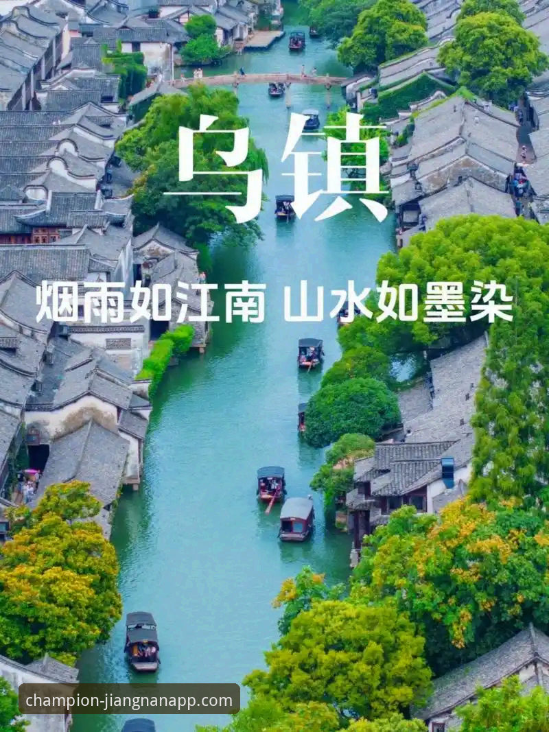 江南APP体育直播2026最新版本 vs 老版本：功能、体验与安全性的全面对比